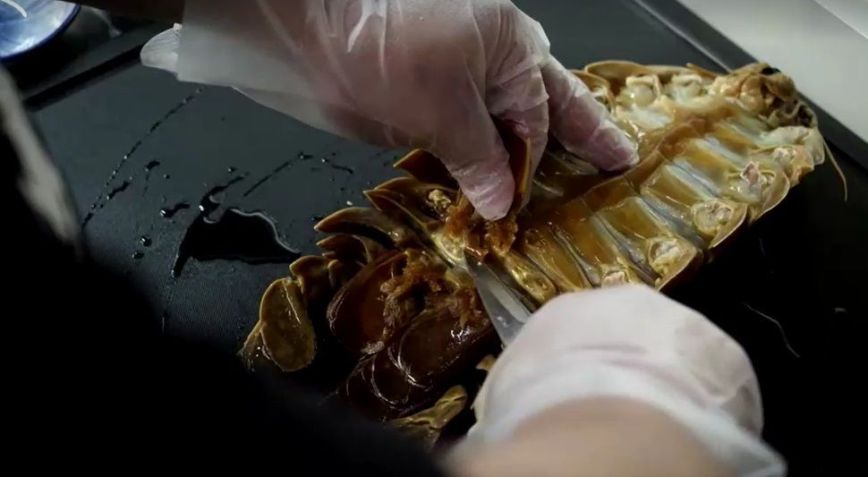 Um isópode gigante de 14 pernas faz sucesso na culinária de Taipé / Reprodução/Reuters