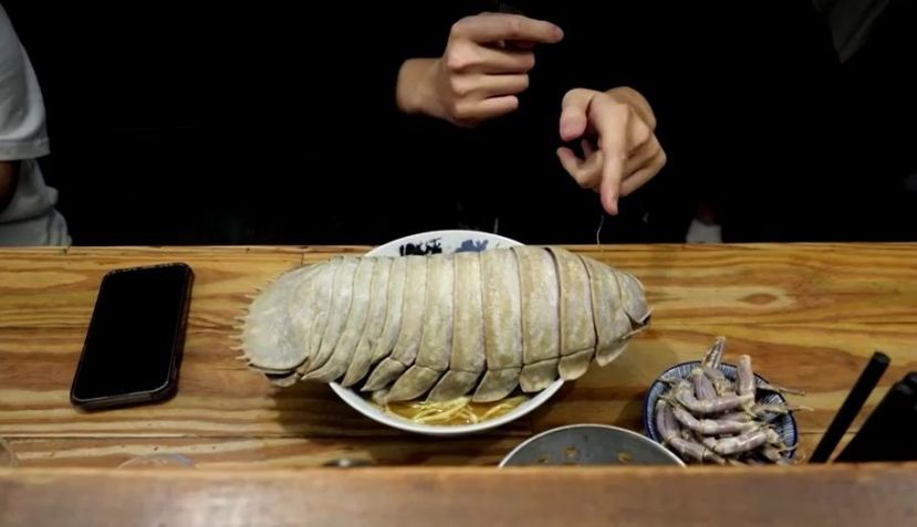 Um isópode gigante de 14 pernas faz sucesso na culinária de Taipé / Reprodução/Reuters