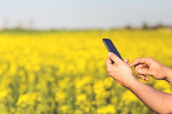 Como funcionam as agfintechs? / Imagem: Pexels
