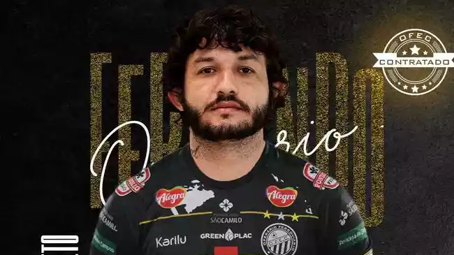 Fernando Neto
