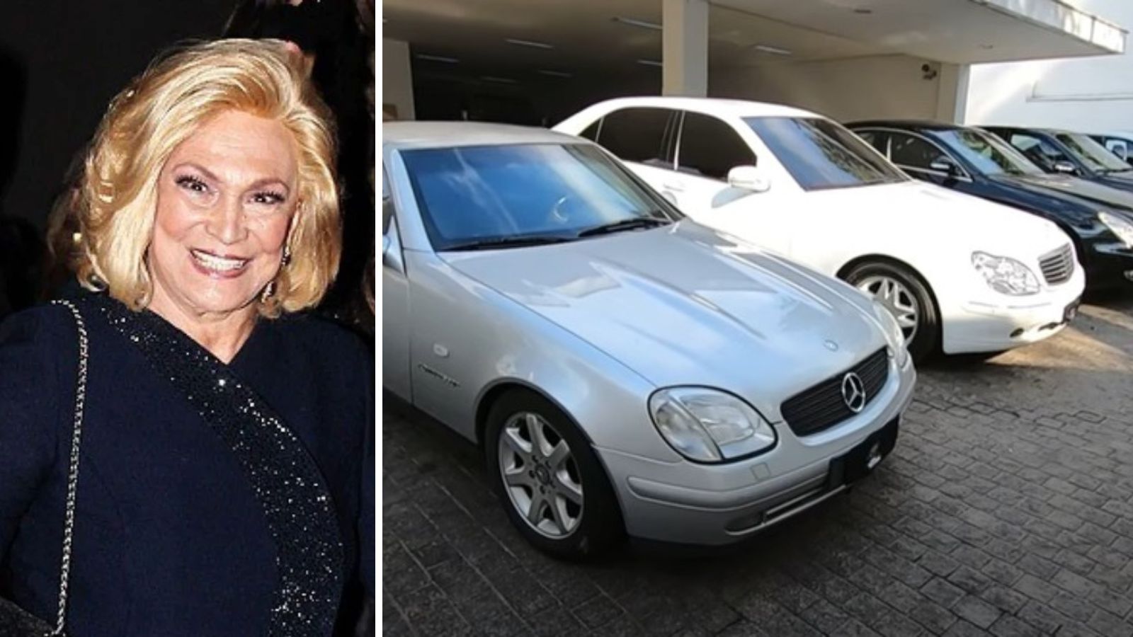 hebe-camargo-colecao-de-carros