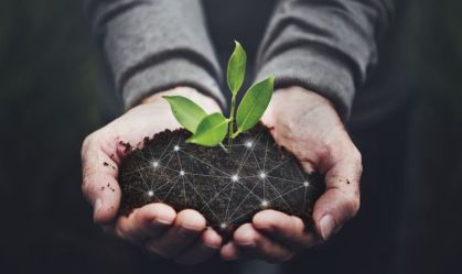 Impactos das agfintechs no agronegócio