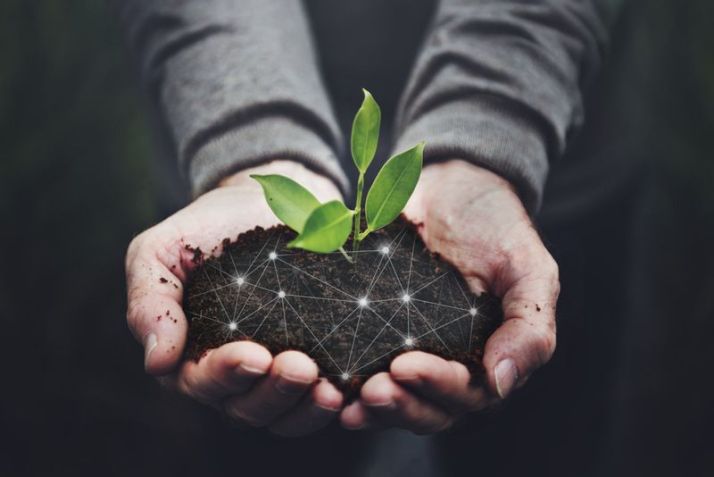 Impactos das agfintechs no agronegócio / Imagem: Shutterstock