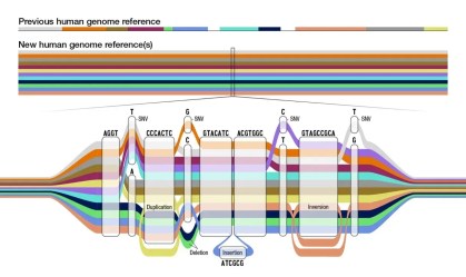 Cientistas atualizam o genoma humano para torná-lo mais igualitário e inclusivo