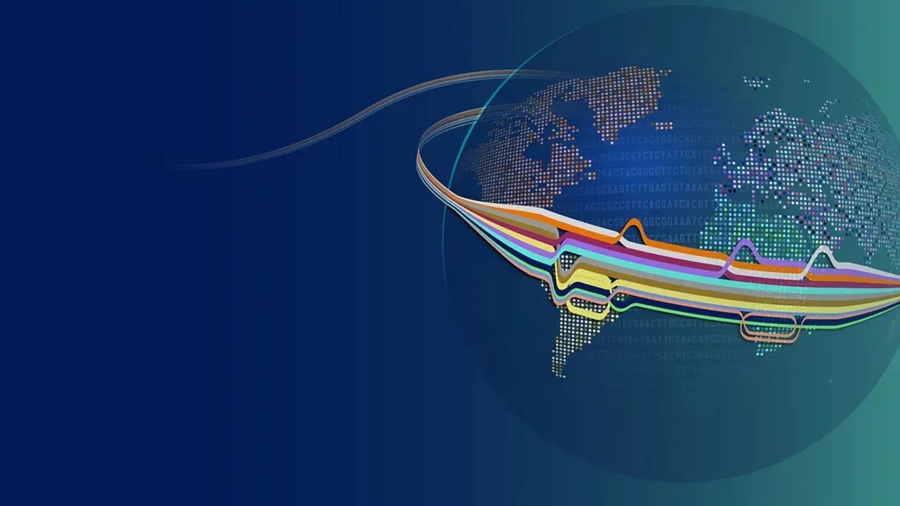 A nova referência de pangenoma é um amálgama de diferentes genomas de 47 pessoas com ancestrais de todo o mundo. / Divulgação / Darryl Leja/NHGRI