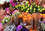 Guerra Tarifária encarece flores do Dia das Mães nos EUA