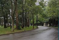 Parque Ibirapuera é interditado por causa de tempestade e interrompe Bienal de SP
