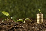 Governo sanciona lei para emissão de títulos públicos voltados às práticas ESG