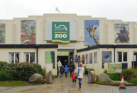 Zoológico procura pessoas para se fantasiar de pássaro e afugentar gaivotas