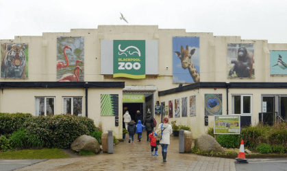 Zoológico procura pessoas para se fantasiar de pássaro e afugentar gaivotas
