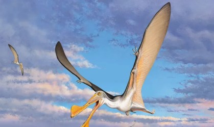 Ossos de pterossauro revelam que réptil voador mais antigo viveu na Austrália
