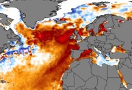 Atlântico Norte experimenta onda de calor marinha “totalmente sem precedentes”