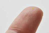 Bolsa menor que um grão de sal é vendida por mais de R$ 300 mil