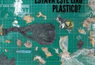 Imagens da necropsia mostram quantidade de plástico ingerida por tartaruga que morreu em SC; veja