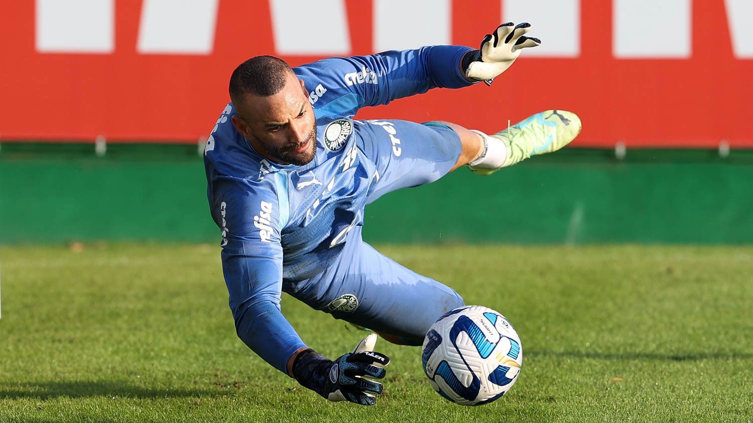 Weverton - goleiro