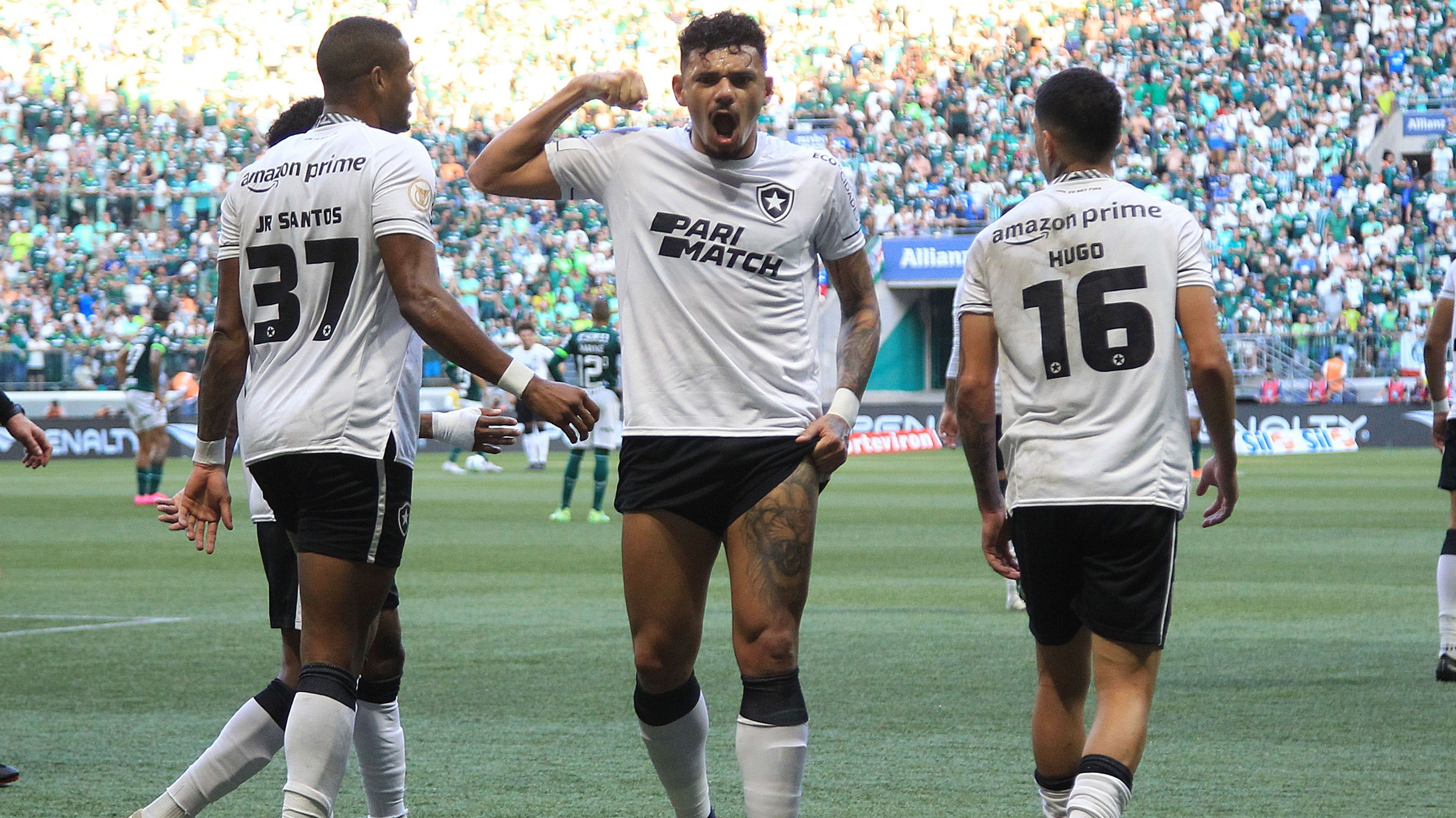 Palmeiras 0x1 Botafogo: veja os melhores momentos do jogo pelo ...