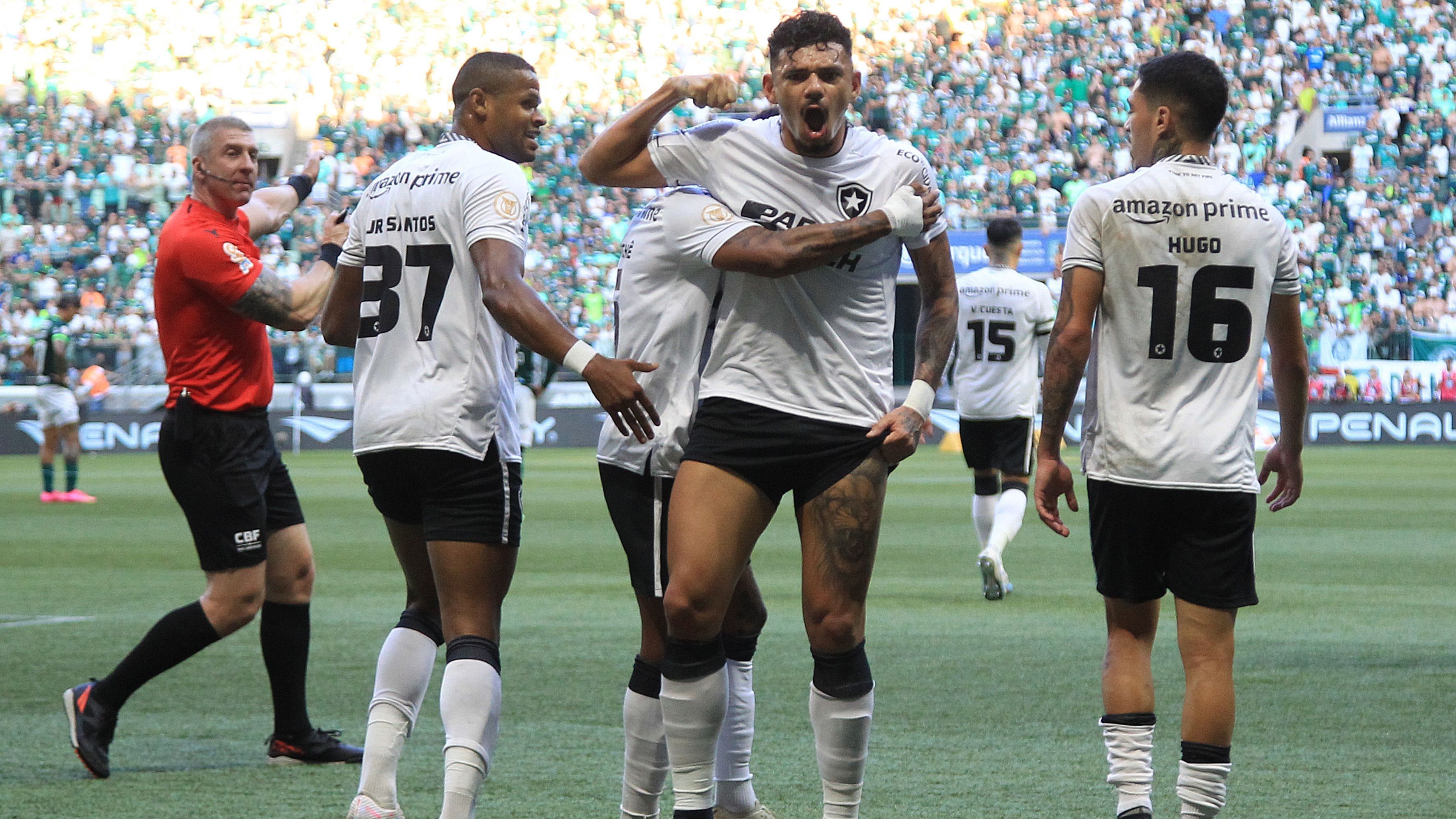 Jogadores do Botafogo comemoram o gol de Tiquinho Soares no Allianz Parque