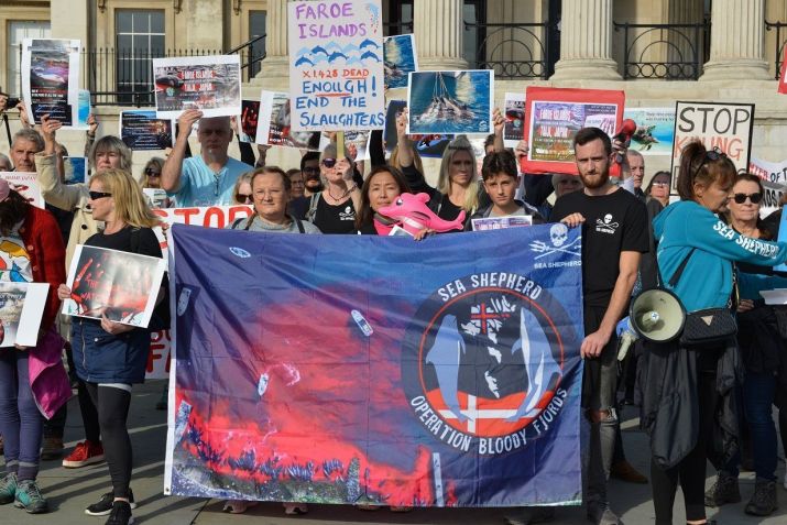 Ativistas protestam na Inglaterra, em outubro de 2021; ano foi um dos mais mortíferos para os animais nas Ilhas Faroe / Thomas Krych/SOPA Images/LightRocket via Getty Images