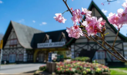 25 pontos turísticos de Campos do Jordão para incluir em seu roteiro