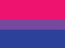 Bandeira do Orgulho Bissexual / Aliança LGBTI+