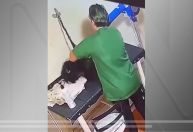 Cachorra morre após banho em pet shop de Goiás; Polícia investiga imagens de agressão de funcionária