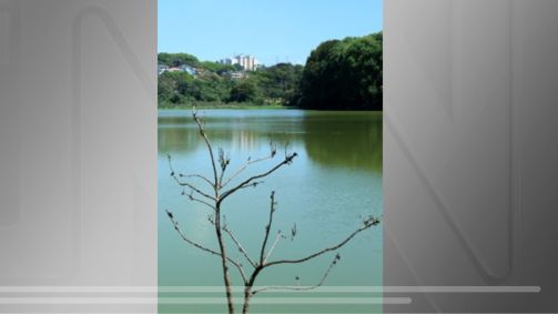 Parque Cidade de Toronto, em Pirituba