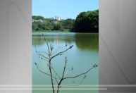 Homem é preso suspeito de atacar mulheres em parque de SP