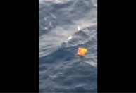 Vídeo: veja o momento em que o 6º sobrevivente de naufrágio em SC é resgatado em alto-mar