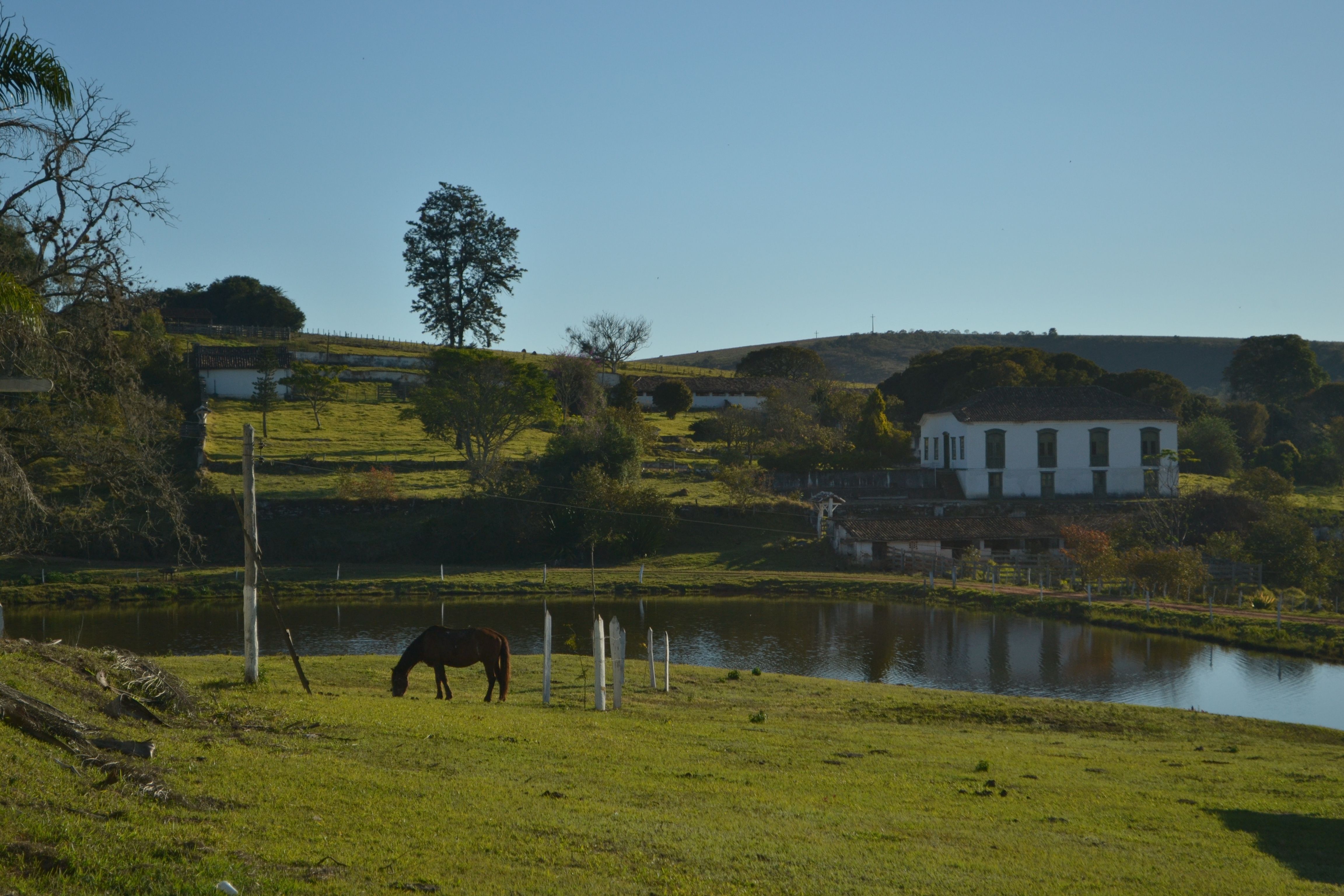 Fazenda_Favacho