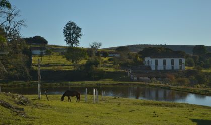 Saiba como declarar o Imposto Rural; prazo começa em 14 de agosto