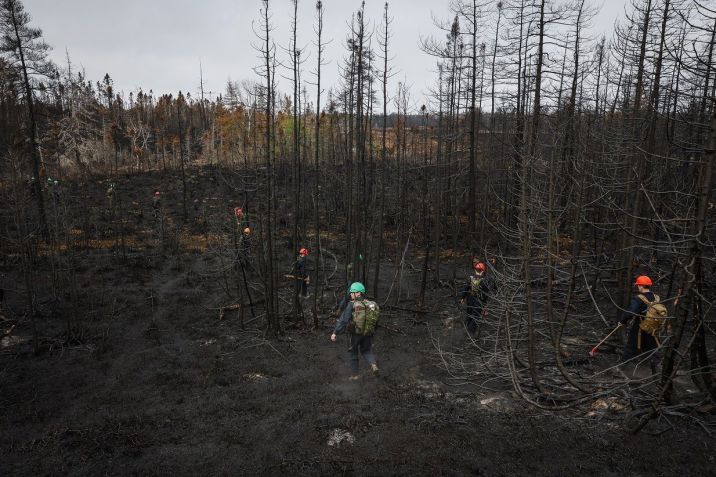 Floresta destruída pelo fogo na província de Nova Scotia, no Canadá; queimadas destroem as matas canadenses e enviam toneladas de fumaça para o país vizinho / Erin Clark/The Boston Globe via Getty Images