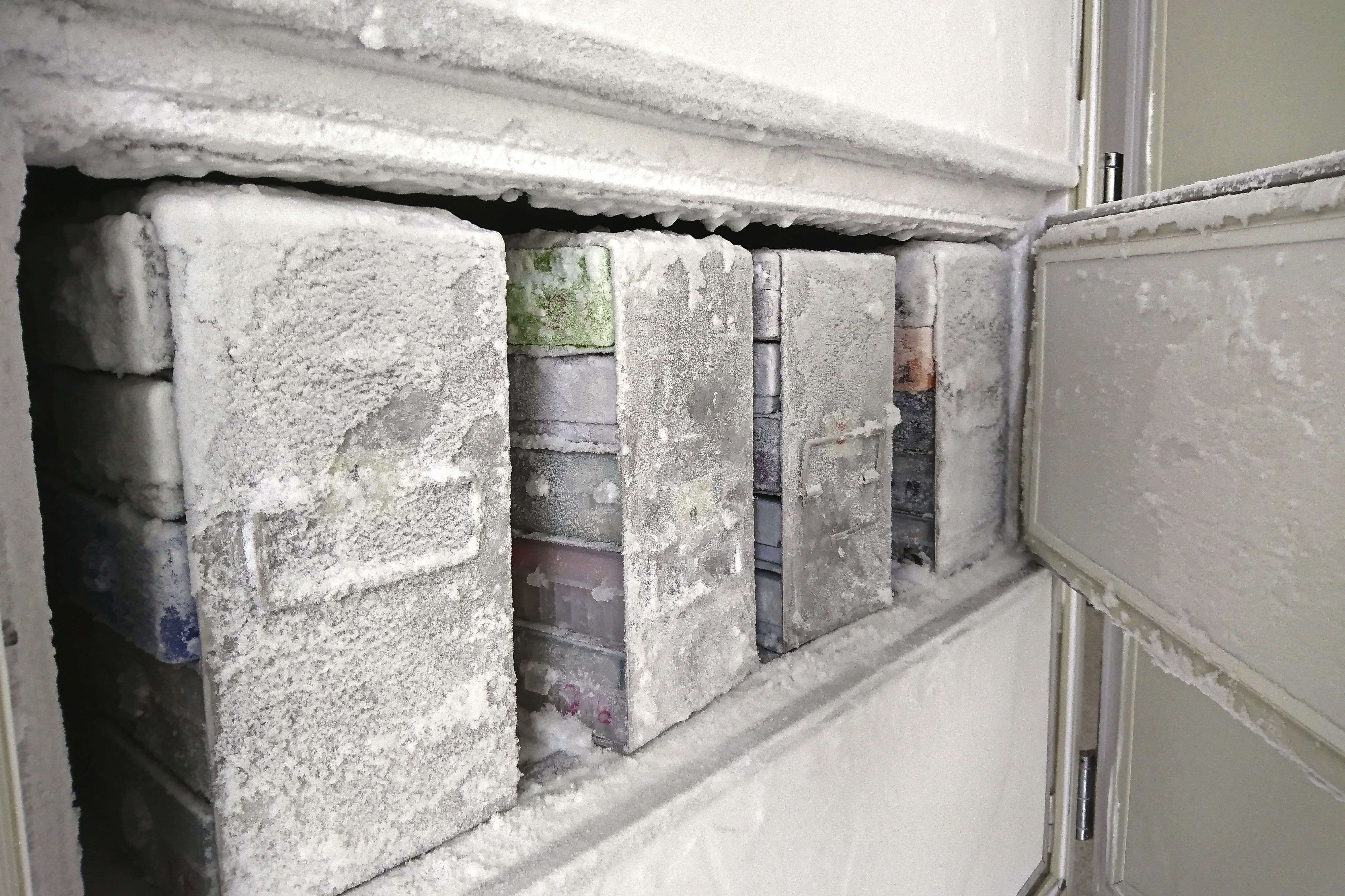 Freezer