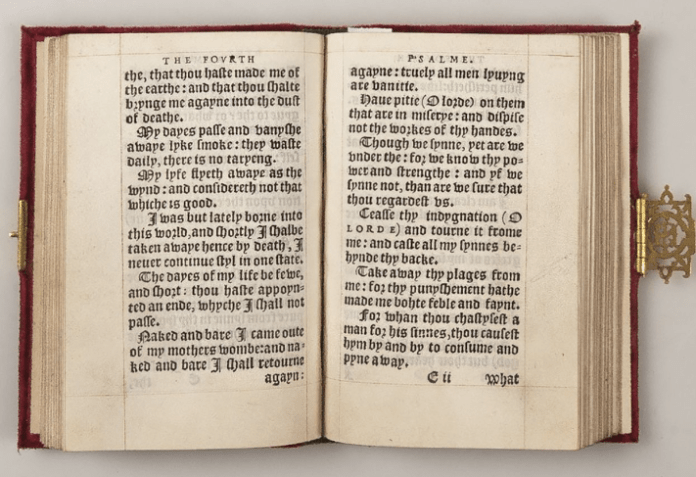 Uma manícula pode ser vista na margem lateral direita / Curadores do Fundo Wormsley