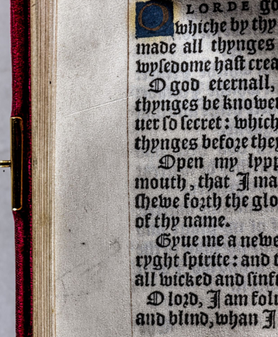 As manículas têm uma forma distinta que combina com outras desenhadas por Henry. / Curadores do Fundo Wormsley