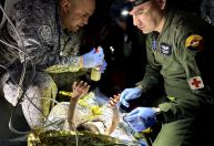 Crianças resgatadas na selva colombiana são alvo de disputa entre familiares