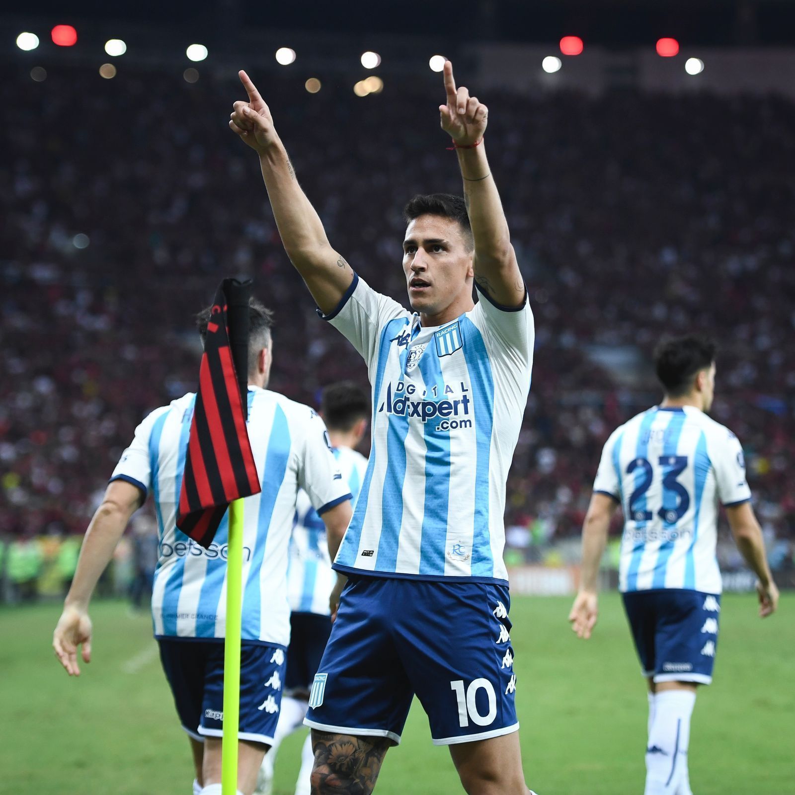 Rojas
