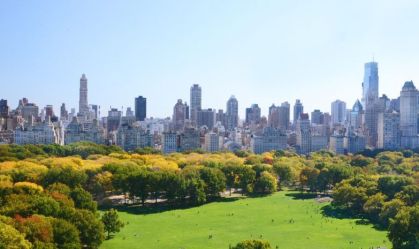Cachorro é esfaqueado no Central Park após discussão entre donos