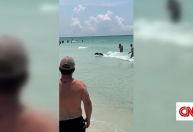 Urso invade praia na Flórida e surpreende banhistas; veja vídeo