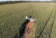Aeronave faz pouso forçado em um milharal em Goiás, informou Corpo de Bombeiros