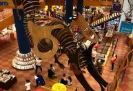 Frequentadores lamentam fechamento de Livraria Cultura, ícone de São Paulo; entenda