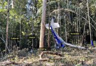 Como 4 crianças podem ter sobrevivido a um acidente de avião na Amazônia?