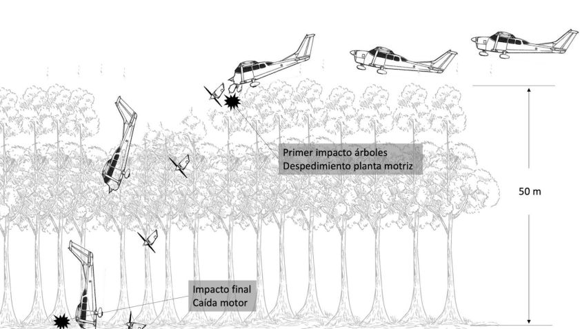 Relatório diz que o avião provavelmente atingiu primeiro as árvores da densa floresta / Dirección Técnica de Investigación de Accidentes