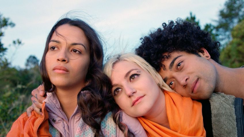 Filmes com protagonismo LGBTQIA+ / Divulgação/ Beija Flor Filmes