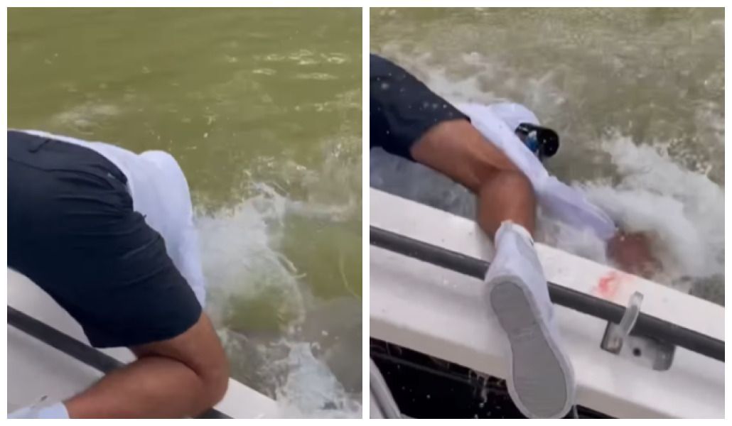 Imagem de destaque do post: Tubarão morde pescador e o derruba do barco na Flórida; veja o momento