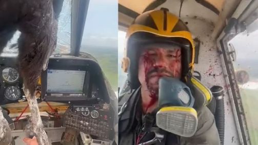 Avião de pequeno porte colide com pássaro, imagens impressionam
