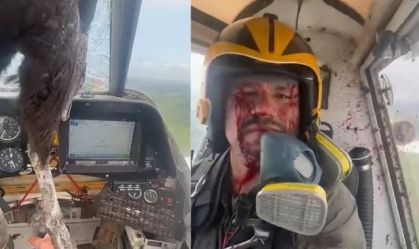 Avião de pequeno porte colide com pássaro, imagens impressionam