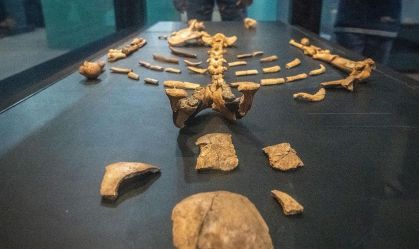 50 anos de Lucy: veja como fóssil mais famoso do mundo foi descoberto