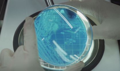 CNN Sinais Vitais aborda os riscos das superbactérias para a saúde global