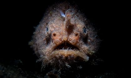 O que sabemos sobre as profundezas do oceano – e por que é tão arriscado explorá-lo