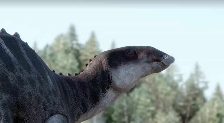 dinopato1